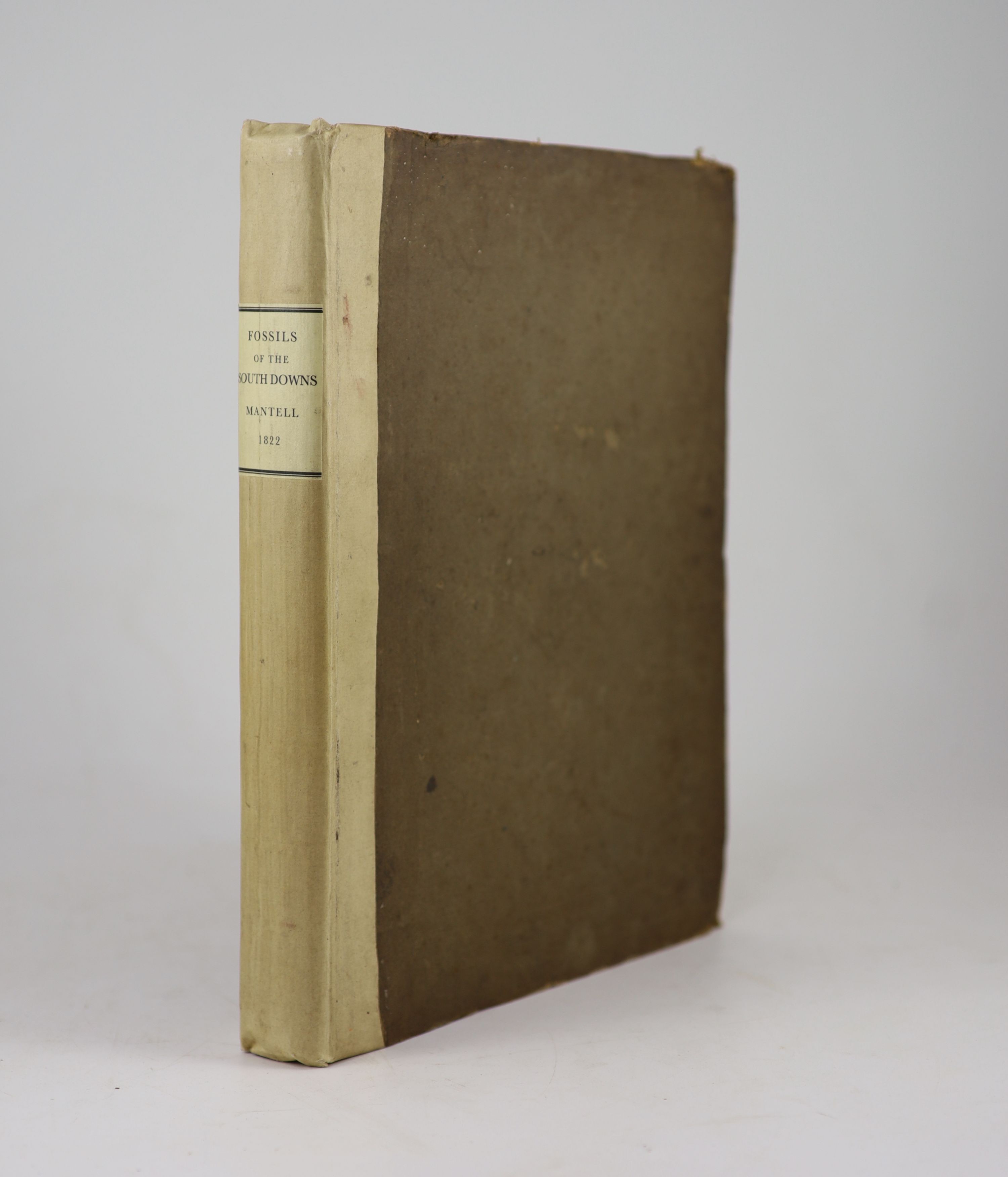 Mantell, Gideon - The Fossils of the South Downs; or Illustrations of the Geology of Sussex. hand-coloured map, 41 engraved plates (2 folded, 3 hand-coloured), half title, subscribers list